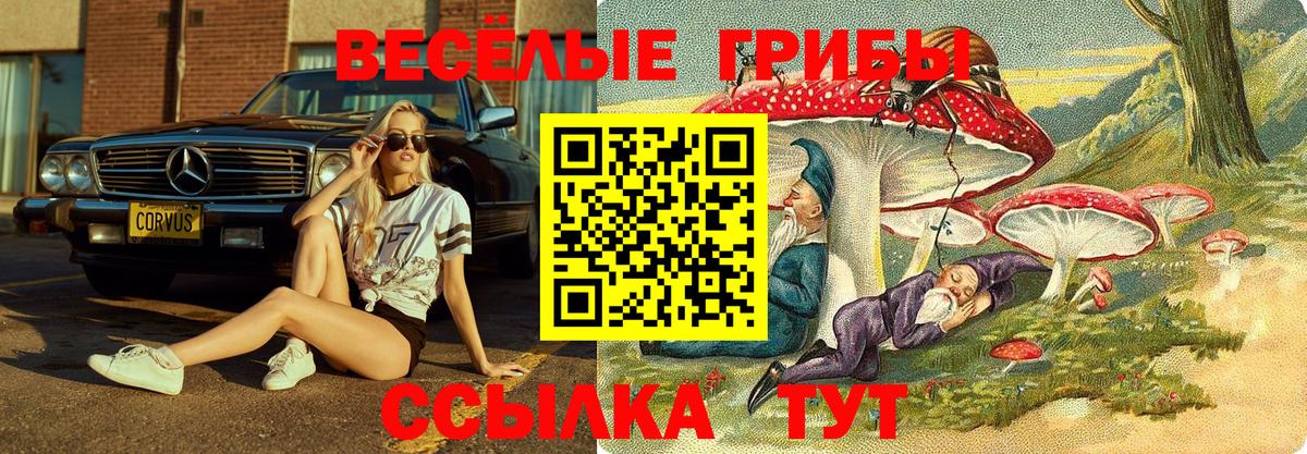Псилоцибиновые грибы Magic Shrooms  Вход с VPN  где найти   Изобильный 